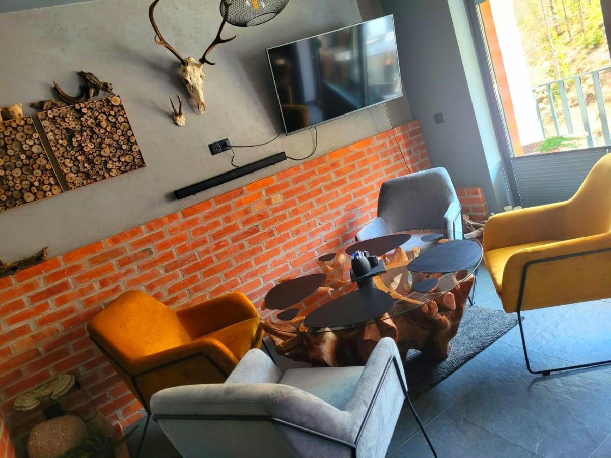 Apartament Spokoloko Mysliwski Szczyrk Luaran gambar